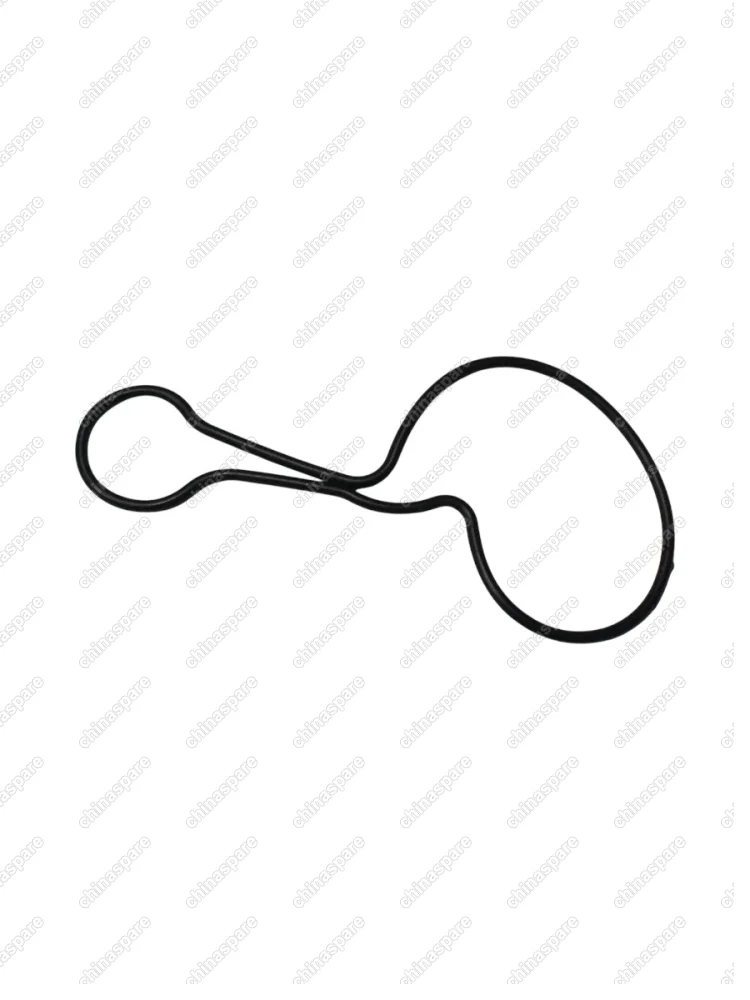 Прокладка водяного насоса BYD F3 473 (Цепь)