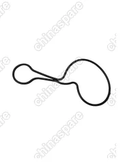 Прокладка водяного насоса BYD F3 473 (Цепь)