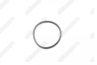 Фильтр роботизированной коробки передач Zotye T600 2.0T