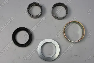 Ремкомплект задний балки (Подшипники, втулки, сальники) Dong Feng H30 Cross