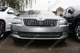 1471415151 Сетка на бампер внешняя для SKODA Superb 2015->, 2 шт., черн., 15 мм