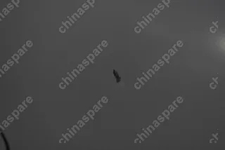 Капот Volkswagen Polo 2015-2018 (Уценка)