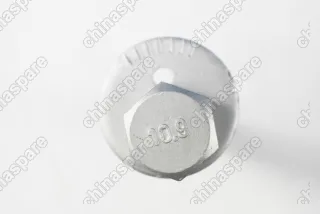 Болт развальный задней подвески подпружинного рычага Zotye T600