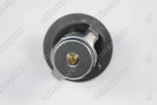 Термостат Brilliance M2