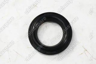 Кольцо уплотнительное свечных колодцев Brilliance V5