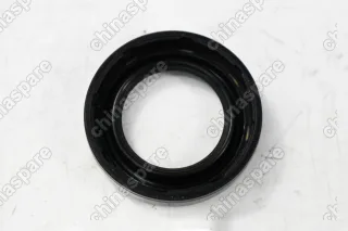 Кольцо уплотнительное свечных колодцев Brilliance V5