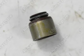 Колпачок маслосъемный Brilliance V5