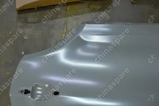 Дверь задняя левая Zotye T600 (уценка)