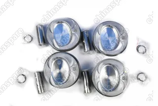 Поршни c кольцами и пальцем (комплект) +0,25 (R1) VAG 1,4L CAV