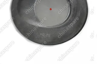 Поршни c кольцами и пальцем (комплект) +0,25 (R1) CBZB/CBZA VAG