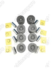 Поршни c кольцами и пальцем (комплект) +0,50 (R2) Land Rover Range Rover 3,6 Diesel V8 TDV8