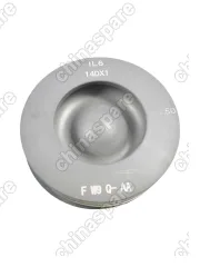 Поршни c кольцами и пальцем (комплект) +0,50 (R2) Land Rover Range Rover 3,6 Diesel V8 TDV8