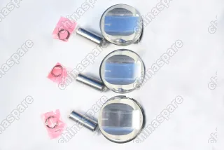 Поршни c кольцами и пальцем (комплект) +0,00 (STD) Audi CGW/CGX/CTU 3,0L 4-6 цилиндр