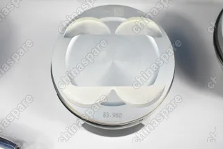 Поршни c кольцами и пальцем (комплект) +0,00 (STD) VAG W12 6,0L BRN,BTT,BJN,CFRA,BHT,BTE,BSB,AZC