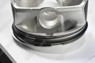 Поршни c кольцами и пальцем (комплект) +0,00 (STD) VAG W12 6,0L BRN,BTT,BJN,CFRA,BHT,BTE,BSB,AZC