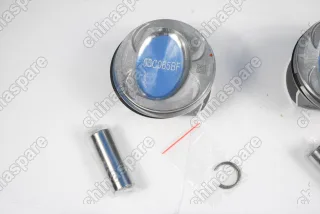 Поршни c кольцами и пальцем (комплект) +0,00 (STD) VAG 1,4L CAV