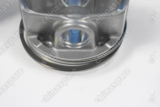 Поршни c кольцами и пальцем (комплект) +0,50 (R2) VAG CXS/CZC 1,4