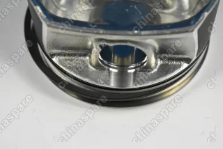 Поршни c кольцами и пальцем (комплект) +0,00 (STD) VAG 2,0L BYK/BPJ