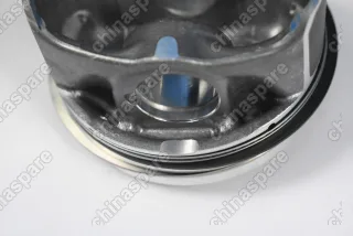 Поршни c кольцами и пальцем (комплект) +0,25 (R1) VAG 1,8 TFSI CDAA/CDAB