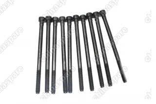 Болт головки блока цилиндров (комплект) Zotye T600 1,5