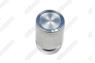 Поршень заднего суппорта Chery Tiggo