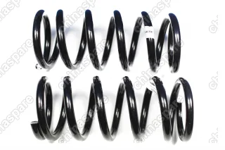 ПРУЖИНЫ ЗАДНЕЙ ПОДВЕСКИ C-190 FOBOS (*** ) цена за 1 шт (отгружаем только по 2 шт)