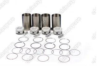 Поршневая группа (поршень, палец, кольца, гильзы) Hyundai Kia G4KD (2,0)