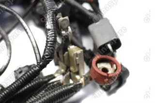 Жгут проводов системы управления двигателем Luxgen 7