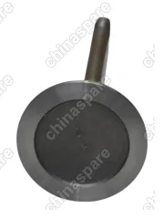 Клапан впускной ГБЦ 480 Chery Amulet