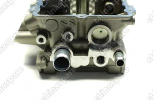 Головка блока цилиндров в сборе Zotye T600 Coupa TNN4G15T 1,5