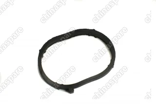 Прокладка впускного коллектора Zotye T600 Coupa