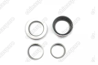 Ремкомплект задний балки (подшипники, втулки и сальники) DongFeng H30 Cross