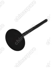 Клапан впускной Brilliance V5