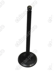 Клапан выпускной Brilliance V5