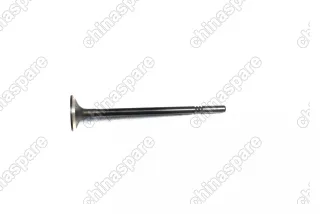 Клапан выпускной Zotye T600 1,5