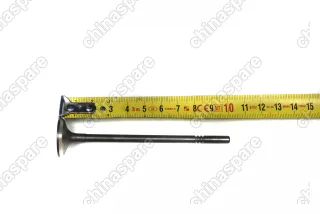 Клапан выпускной Zotye T600 1,5