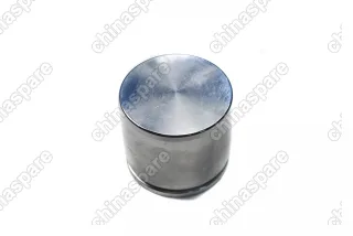 Ремкомплект суппорта переднего (только поршень) Chery Tiggo 7 PRO