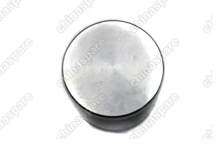 Ремкомплект суппорта переднего (только поршень) Chery Tiggo 7 PRO