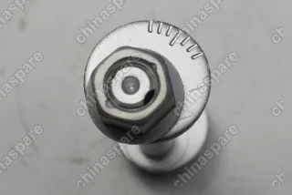 Болт развальный задней подвески переднего короткого рычага Zotye T600