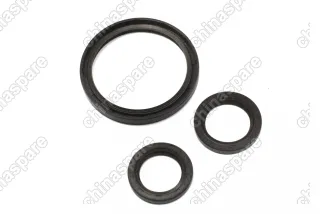 Комплект прокладок двигателя (металлическая прокладка ГБЦ) FAW V5