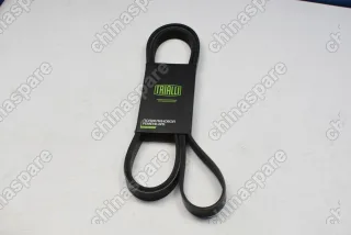 Ремень приводной Trialli FAW Besturn X80 (5DA015909)