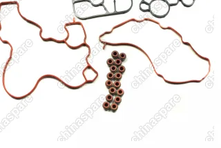 Комплект прокладок двигателя Foton Sauvana