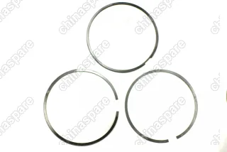 Поршневая группа (поршень, пальцы, кольца, гильзы) Great Wall Hover H5 4D20 2,0 (дизель)