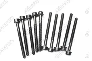 Болт ГБЦ Victor Reinz (комплект) Haval H9 / H8 / H6 Coupe / F7 2,0 4C20