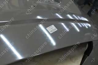 Дверь задка Great Wall Hover H5 (уценка)