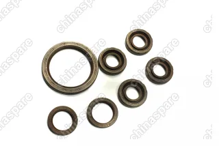 Комплект прокладок двигателя FAW Vita