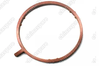Прокладка дросселя Haima M3