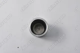 Поршень заднего суппорта Chery Tiggo