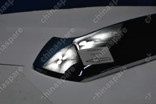 Решетка радиатора (решетка, эмблема, заглушка, молдинг) ZX Grand Tiger (уценка)