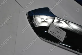 Решетка радиатора (решетка, эмблема, заглушка, молдинг) ZX Grand Tiger (уценка)